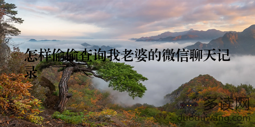 怎样偷偷查询我老婆的微信聊天记录