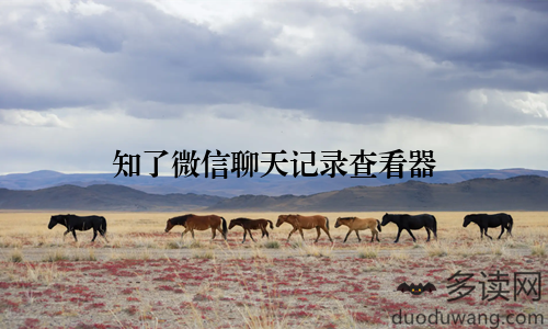 知了微信聊天记录查看器