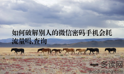 如何破解别人的微信密码手机会耗流量吗,查询