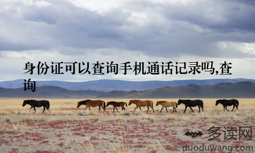 身份证可以查询手机通话记录吗,查询