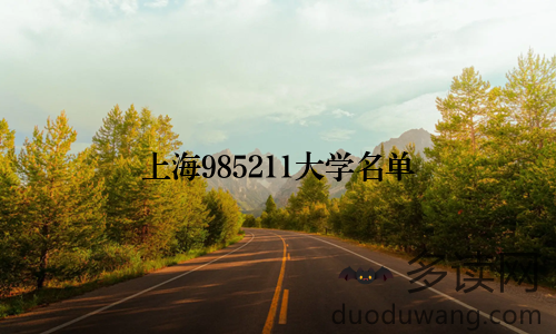 上海985211大学名单