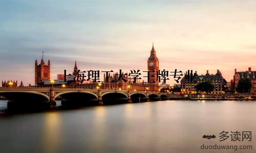 上海理工大学王牌专业