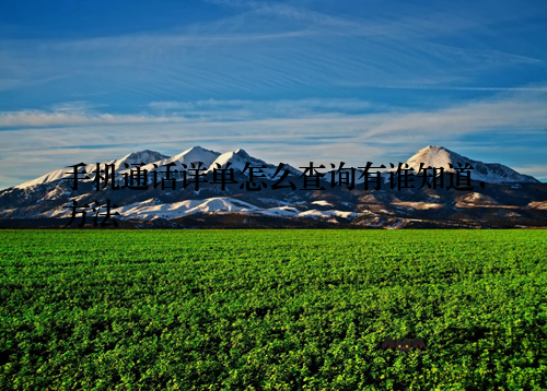 手机通话详单怎么查询有谁知道，方法