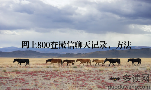 网上800查微信聊天记录,方法