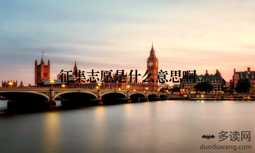 征集志愿是什么意思啊