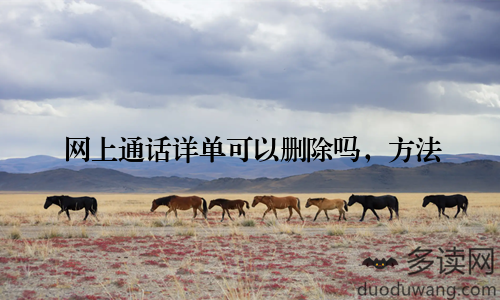 网上通话详单可以删除吗,方法