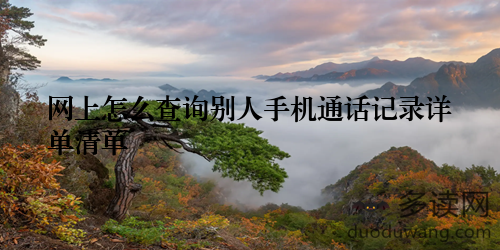 网上怎么查询别人手机通话记录详单清单