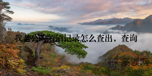 我老公的陌陌记录怎么查出，查询