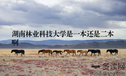 湖南林业科技大学是一本还是二本啊