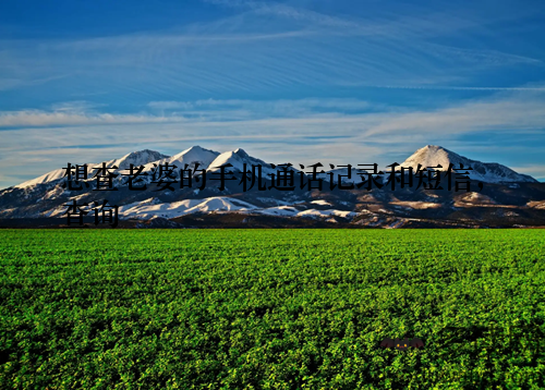 想查老婆的手机通话记录和短信，查询