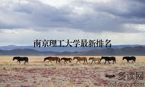 南京理工大学最新排名