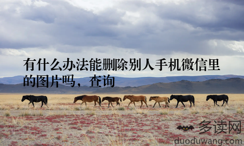 有什么办法能删除别人手机微信里的图片吗，查询