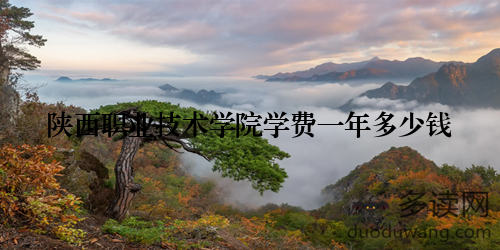 陕西职业技术学院学费一年多少钱