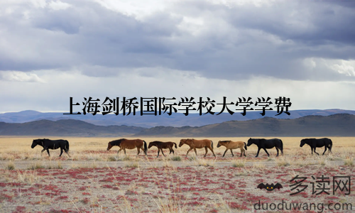 上海剑桥国际学校大学学费