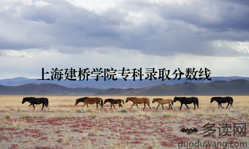 上海建桥学院专科录取分数线