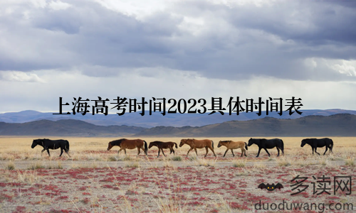 上海高考时间2023具体时间表