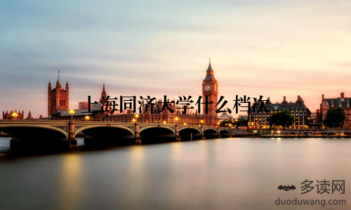 上海同济大学什么档次