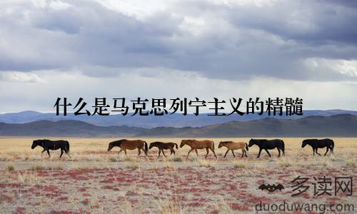 什么是马克思列宁主义的精髓