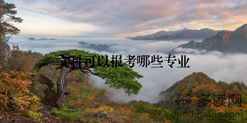 文科可以报考哪些专业