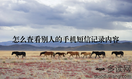 怎么查看别人的手机短信记录内容