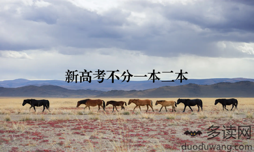 新高考不分一本二本