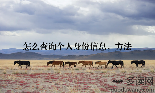 怎么查询个人身份信息，方法