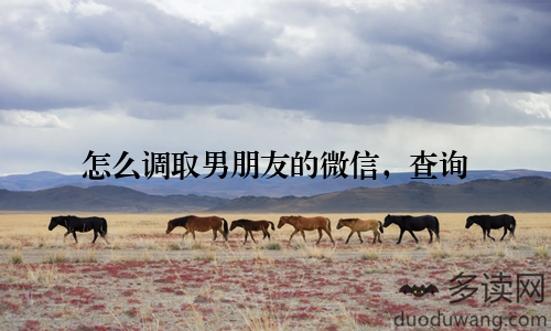 怎么调取男朋友的微信，查询