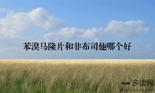 苯溴马隆片和非布司他哪个好