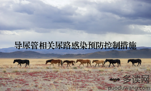 导尿管相关尿路感染预防控制措施