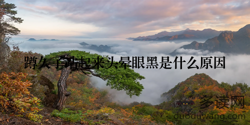 蹲久了站起来头晕眼黑是什么原因