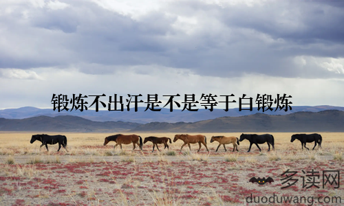 锻炼不出汗是不是等于白锻炼