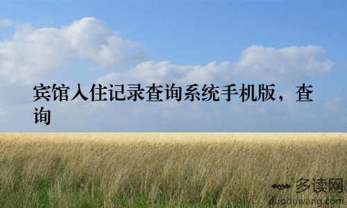 宾馆入住记录查询系统手机版,查询