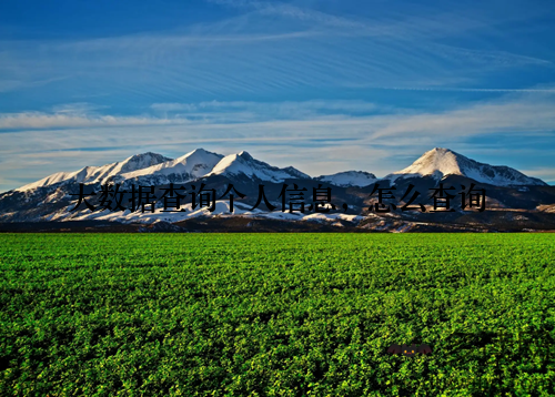 大数据查询个人信息，怎么查询