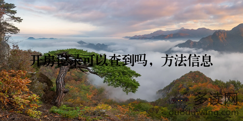 开房记录可以查到吗,方法信息