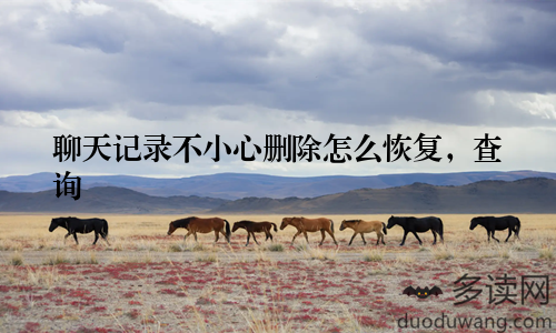 聊天记录不小心删除怎么恢复，查询