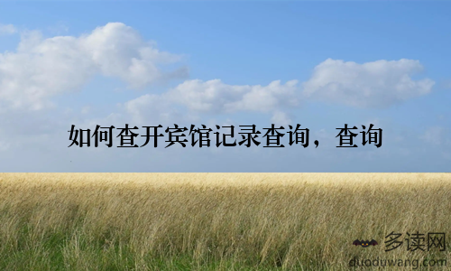 如何查开宾馆记录查询,查询