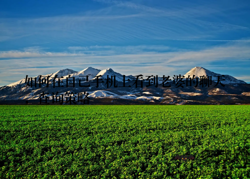 如何在自己手机上看到老婆的聊天,查询策略