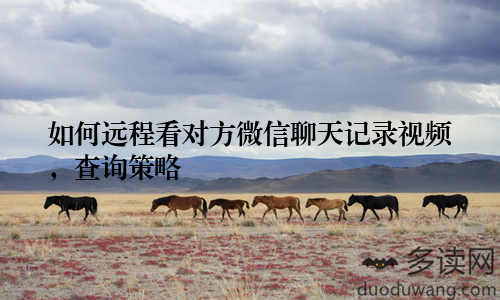 如何远程看对方微信聊天记录视频，查询策略