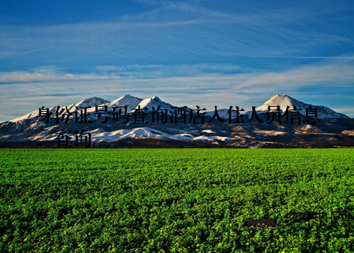 身份证号码查询酒店入住人员信息,查询