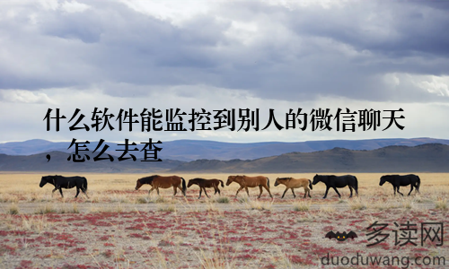 什么软件能监控到别人的微信聊天,怎么去查