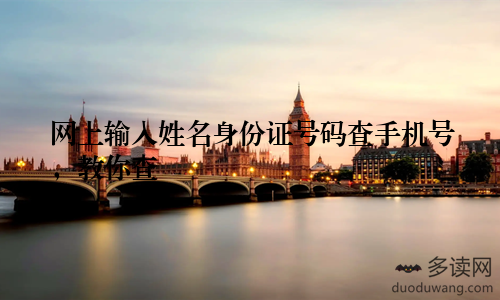 网上输入姓名身份证号码查手机号,教你查