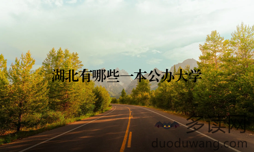 湖北有哪些一本公办大学