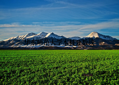 华东师范大学本科分数线