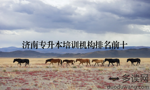 济南专升本培训机构排名前十