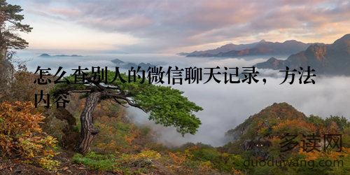 怎么查别人的微信聊天记录，方法内容
