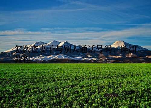 怎么查妻子与别人通话号码,详细教程