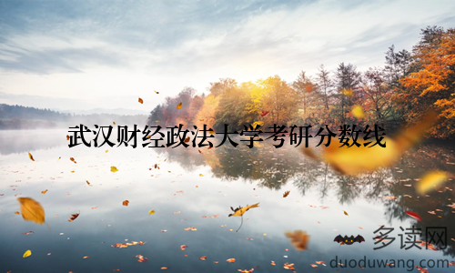 武汉财经政法大学考研分数线