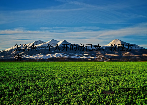 怎么查一个人开的房记录,教程方法