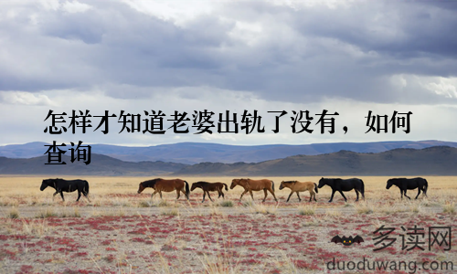 怎样才知道老婆出轨了没有,如何查询