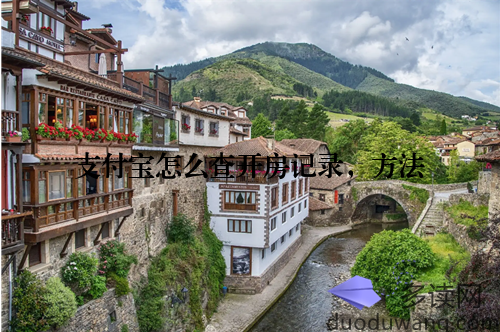 支付宝怎么查开房记录，方法